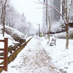 [이것좀봐줘] 집 앞 공원 눈 사진...