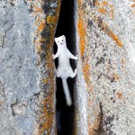 [19] 오늘도 무토바 금지 <b>실천</b>함