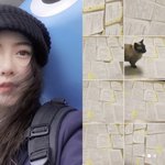 구혜선, 이러니 41세에 카이스트 가지..어마어마한 공부량에 <b>입이</b>...