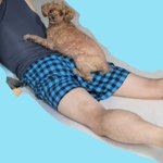 이건 인스타 <b>올린</b>거. 애기가 내 등 탄거ㅋ