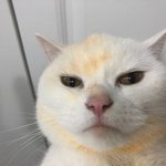 [댓글부탁해] 이거 <b>음</b><b>침</b> 레전드야?