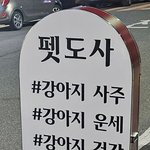 멍멍<b>사주</b> 멍이의 운멍