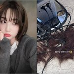 쿨한 무대응, 단발 변신 “잘가라 상한 머리”[<b>MD</b>이슈](종합)