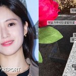 [댓글부탁해] 티아라 함은정, 母 묘소 찾아 "좋아하는 것들로...