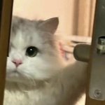 누구들이 그러던데