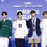 전문가 34인에 물었다…올해 최고 신인은? '투어스' [2024...