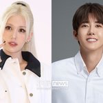 [단독]전소미·황광희, 류수영·<b>파브리</b>와 뭉친다…'인기 치트키' 요리...