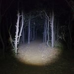 1시간에 10만원 짜리 알바.