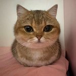 <b>Sm</b>은 왜 못생긴<b>남자</b>들을 데뷔시킬까