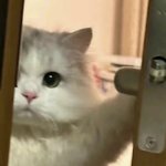 [오빠] <b>칫솔</b>로 변기통 닦을꺼야 ㅎ