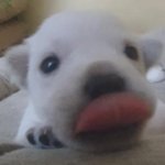 너네 <b>크리스마스</b> 계획 적고가