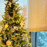 [모두드루와] 지디태양 트리에서 아기<b>유무</b> 느껴짐