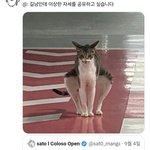 트위터 웃긴 짤 <b>모음</b> 2탄