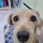 에휴