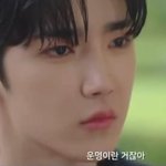 데뷔 전부터 공중파 드라마 남주 된 남돌