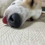 <b>거물</b>이 오랜만에 인사드려요