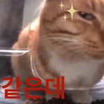 [추반] 경희대 경영 vs <b>외대</b> 경제