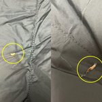 패딩 중고로 샀다가 '날벼락'…구더기가 스멀스멀