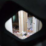 [도와주세요] 역대급 쓰레기집 이웃.... 정말 고통스러워요