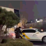 원빈아 <b>크리스마스</b>때 가요대전 끝나고 혼자 택시타고 어디갔어??