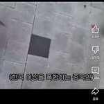 [어케생각해] 중국인이 한국 할머니 <b>폭행</b>하는거 봤음?