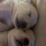 [19] 이소티논 <b>처방</b>받은 애들아