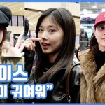 "일상이 귀여워"...트와이스, 러블리 트둥이들