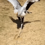 <b>북한</b>