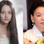 올리비아 핫세·故 김수미, 별세 직전까지 이어진 고통…누리꾼 "안타까워"...