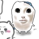 [드루와] <b>작년</b> 수능 끝났을땐 ㄹㅇ 집에만 쳐박햤는데