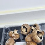 [임산부] 한달 된 신생아 <b>방치</b>(산후도우미 고소하고 싶어요)