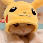 좋은<b>말로</b>할때