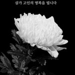 "꿈이길" 박명수·박나래→브라이언, <b>무안</b> 여객기 참사에 연예계도...