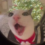 [댓글부탁해] 여자 <b>룩북</b>,수영복피팅 유튜브보는 남친