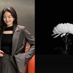 '<b>전진</b> 아내' 류이서, 제주항공 여객기 참사 애도 "계속 기도할...