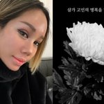 강원래 아내 김송, 제주항공 참사 추모 "고인들 <b>명복</b> 빕니다"