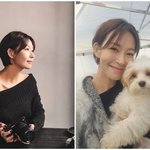 정애연 반전 면모 “어릴 적 꿈=수의사” 유기견 사진작가 됐다