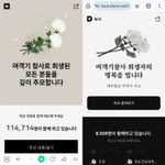 "여객기 참사 <b>명복</b>을 빕니다" 네이버·다음 온라인 분향소 마련