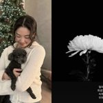 [<b>SCin스타</b>] '승무원 출신' 류이서도 충격…"얼마나 무섭고...