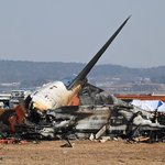 무안공항, 조류충돌 분석…청둥오리 등 6종 ‘위험레벨 3’