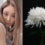 거짓말 같아" 옥주현, 제주항공 <b>참사</b>에 '충격'…연예계 애도 계속