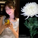 "다신 이런 비극 없길" '승무원 출신' 김지영, 여객기 참사...