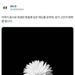 제니 회사 공계 추모글 <b>올림</b>