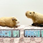 06들아 술<b>약속</b> 부모님때문에 못 나간 사람 있음?