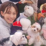 정애연, 일일 사진작가 돼 유기견 봉사…"어릴 적 꿈 수의사"