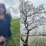 배두나, <b>울적</b>한 새해 첫 글 “여객기 참사 추모, 슬픔 맘 가시지...