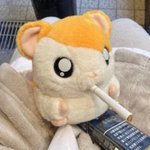 [댓글부탁해] <b>번장</b> 왜이렇게 바뀜?