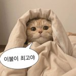 하