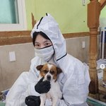 유기견 <b>봉사</b>하고 4년만 방송 출연.."당분간 다시 동굴로"