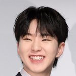 세븐틴 호시 얼굴 평균이다<b>vs</b>잘생긴거다